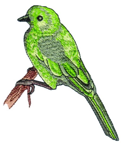 Picture of Green Bird Machine Embroidery Design