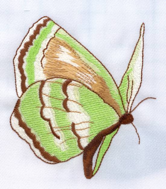 Picture of Green Butterfly Machine Embroidery Design