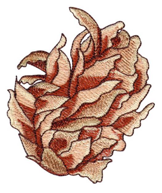 Picture of Sea Weed Machine Embroidery Design