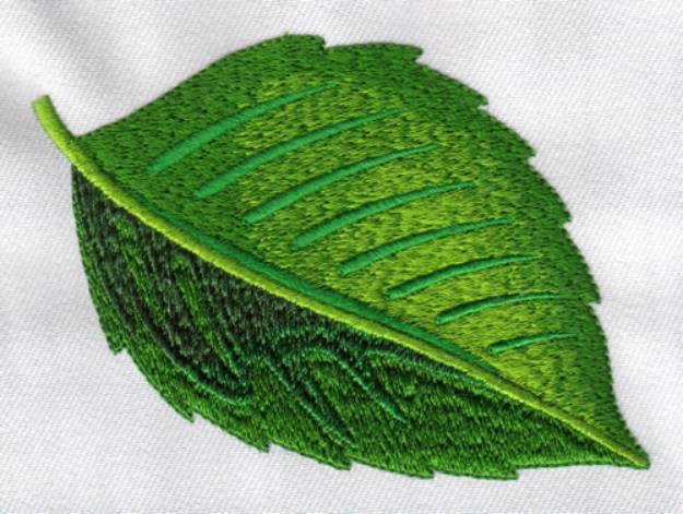 Picture of Big Leaf Machine Embroidery Design