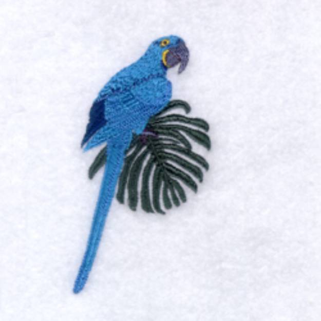 Picture of Hyacinth Macaw Machine Embroidery Design