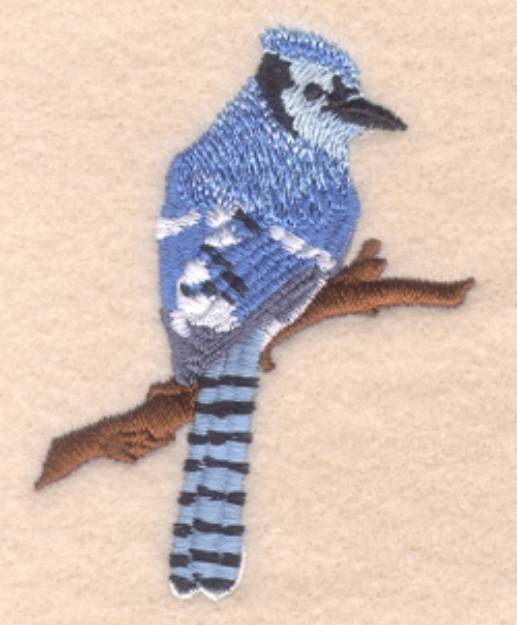 Picture of Bluejay Machine Embroidery Design