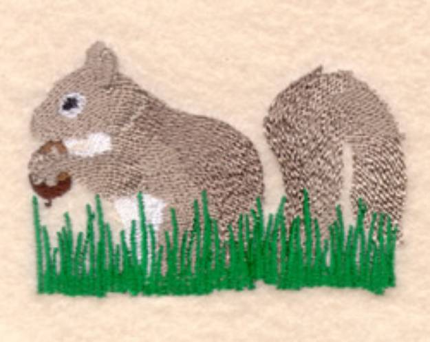 Picture of Squirrel With Acorn Machine Embroidery Design