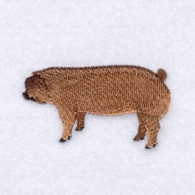 Duroc Pig Machine Embroidery Design | Embroidery Library at ...