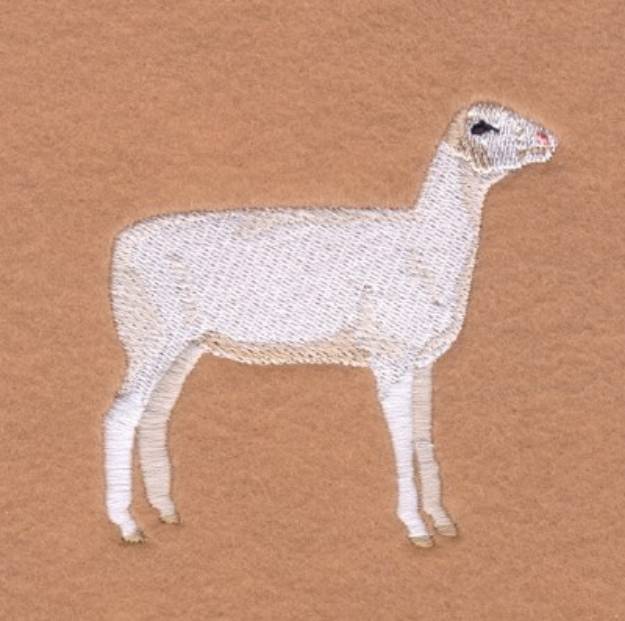 Picture of Dorset Sheep Machine Embroidery Design