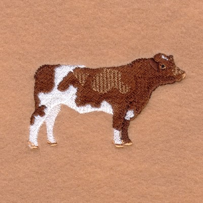 Maine-Anjou Bull Machine Embroidery Design