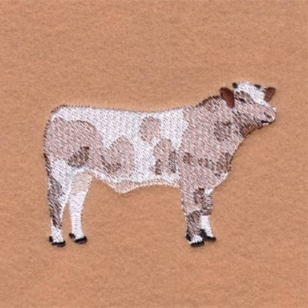 Picture of Shorthorn Bull Machine Embroidery Design