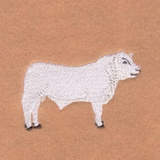 Picture of Charolais Bull Machine Embroidery Design