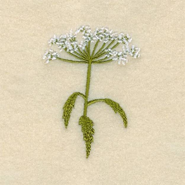 Picture of Cow Parsley Machine Embroidery Design