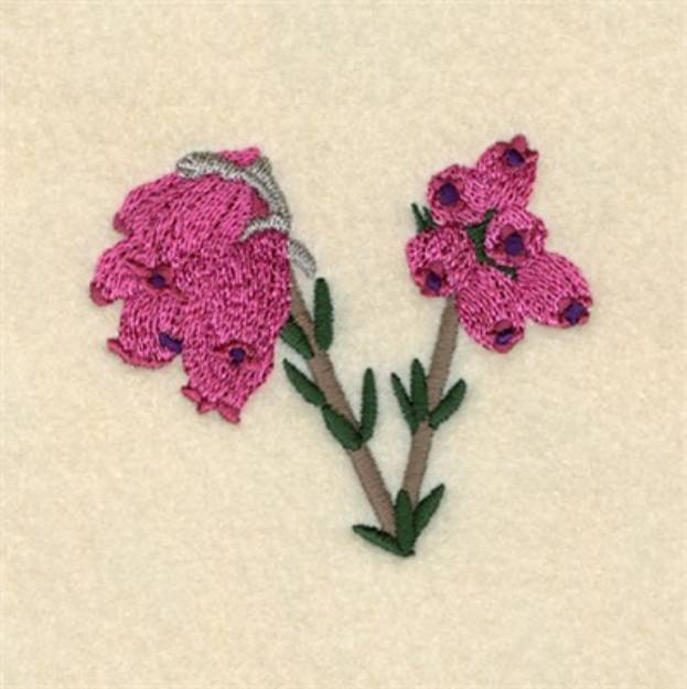 Picture of Cross Leaved Heath Machine Embroidery Design