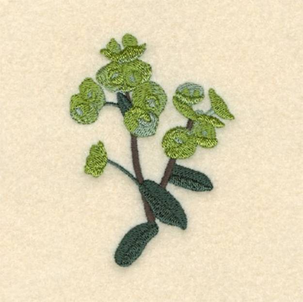 Picture of Irish Spurge Machine Embroidery Design