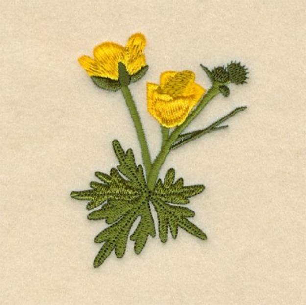 Picture of Meadow Buttercup Machine Embroidery Design