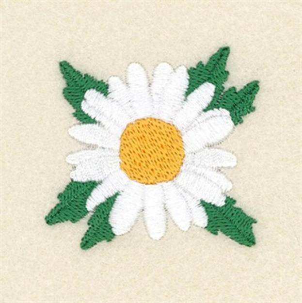 Picture of Daisy Single Machine Embroidery Design