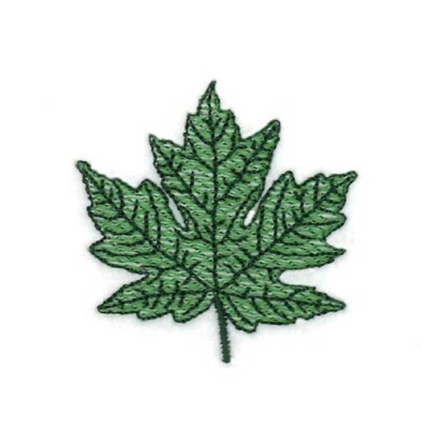 Picture of Silver Maple Leaf Machine Embroidery Design