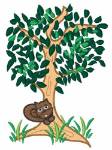 Picture of Squirrel In Tree Machine Embroidery Design