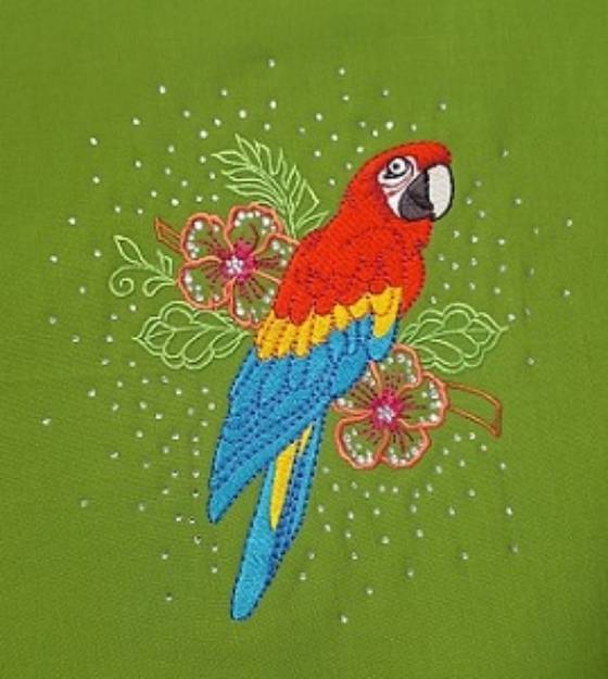 Picture of PARROT Embroidery Designs CD