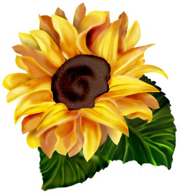 Picture of Sunflower SVG File