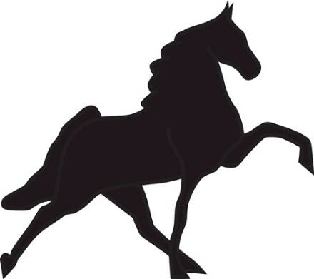 Instant Download SVG: Appaloosa Horse Image for Cricut, Silhouette