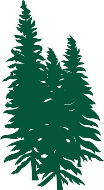 Picture of Evergreens SVG File