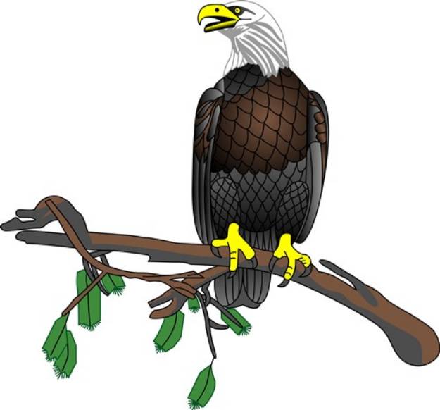 Picture of Eagle On Branch SVG File