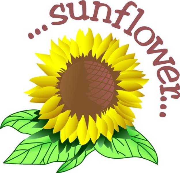 Picture of Sunflower SVG File