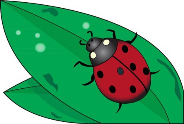 Picture of Lady Beetle SVG File