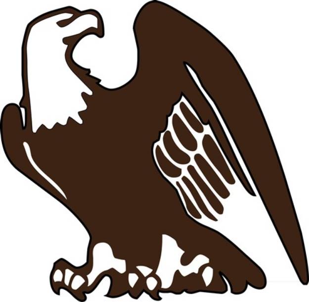 Picture of Bald Eagle SVG File