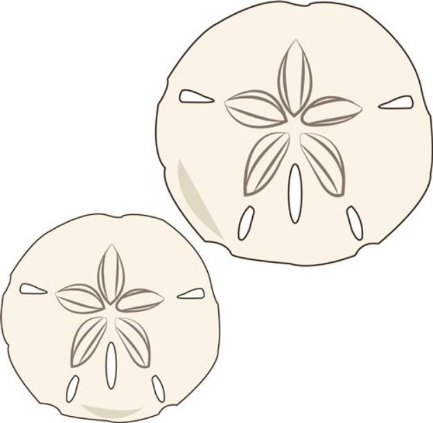 Picture of Sand Dollars SVG File