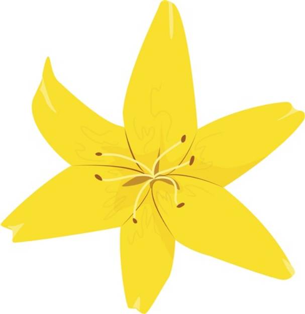 Picture of Lily Flower SVG File