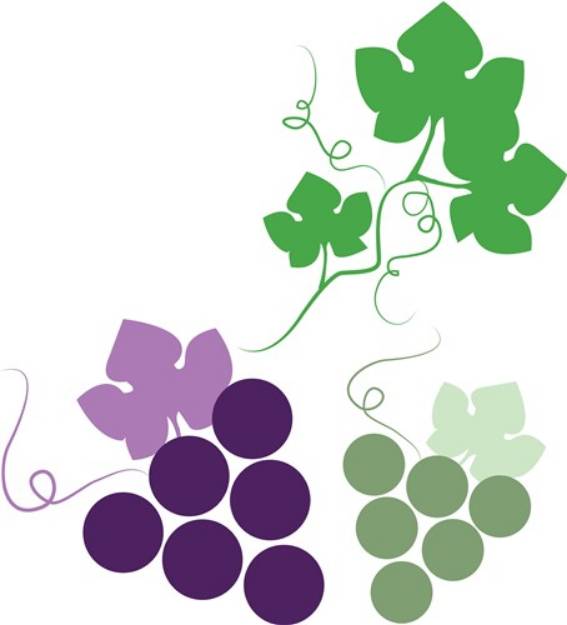 Picture of Grape Vine SVG File