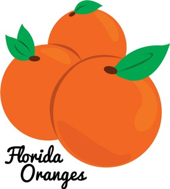 Picture of Florida Oranges SVG File