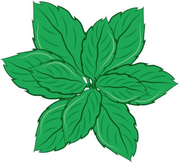 Picture of Mint Leaves SVG File