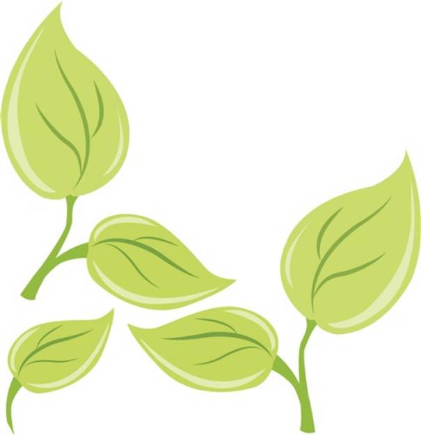 Picture of Green Leaves SVG File