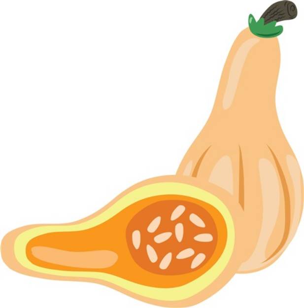 Picture of Squash SVG File