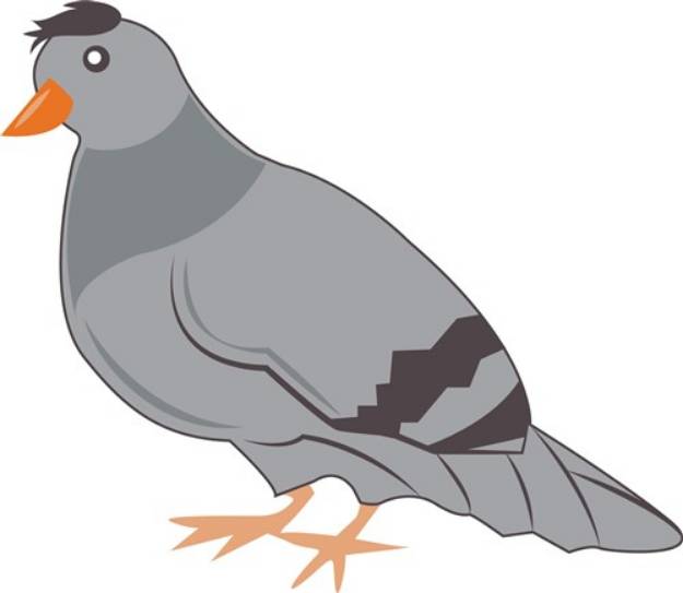 Picture of Pigeon SVG File