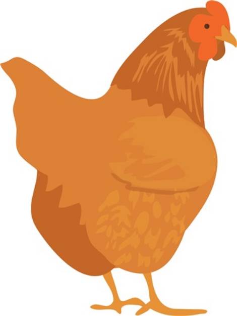 Picture of Chicken SVG File