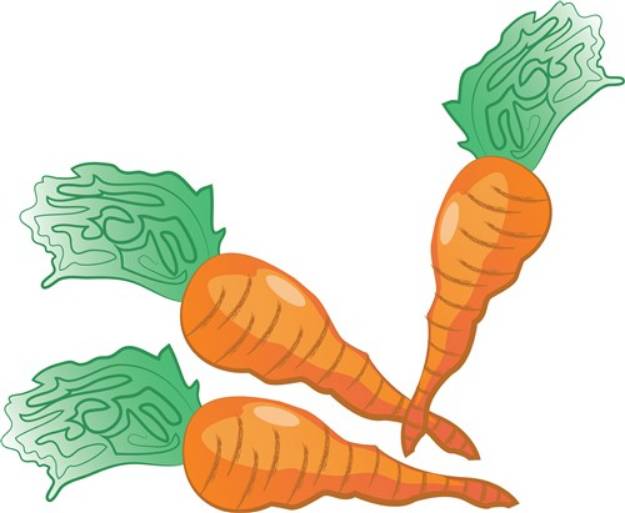 Picture of Carrots SVG File