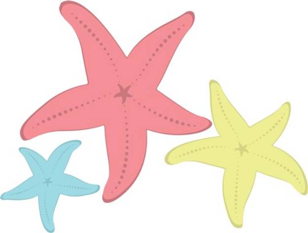 Picture of Starfish SVG File