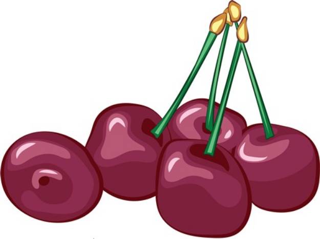 Picture of Cherries SVG File