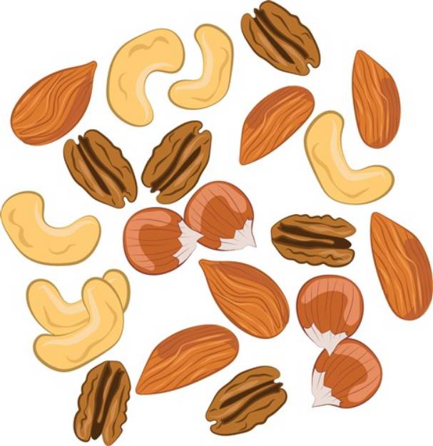 Picture of Assorted Nuts SVG File