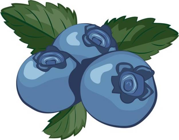 Picture of Blueberries SVG File