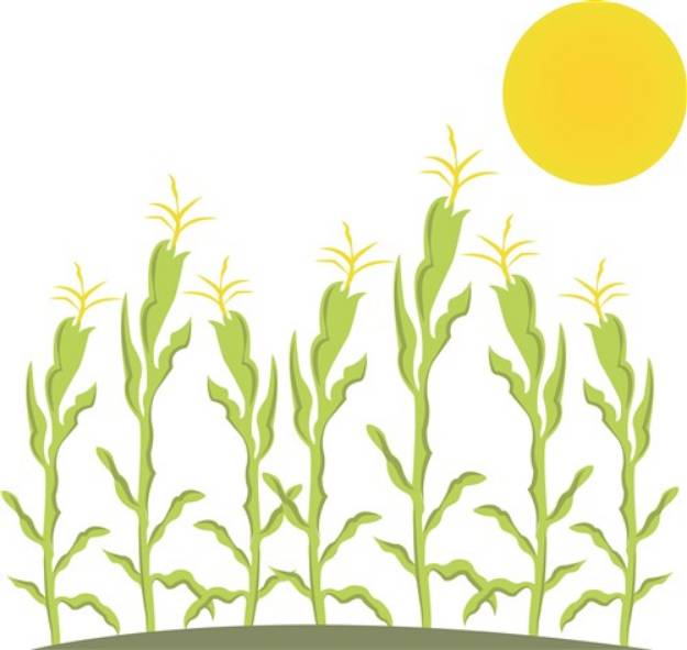 Picture of Corn Field SVG File