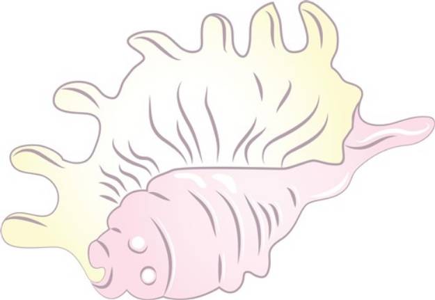 Picture of Seashell SVG File