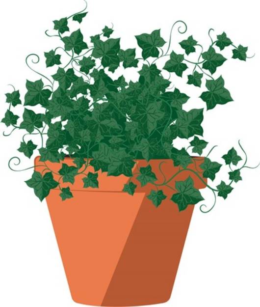 Picture of Ivy Plant SVG File