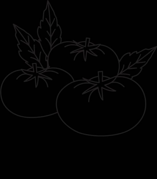 Picture of Farmhouse Tomatoes SVG File