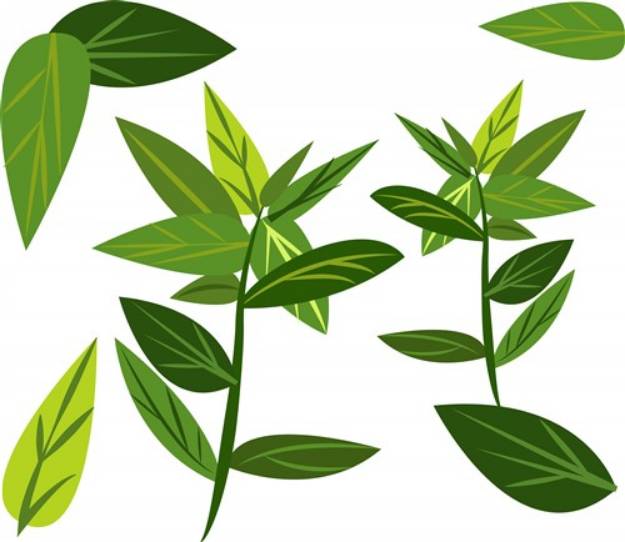 Picture of Mint Leaves SVG File