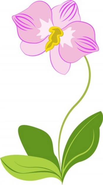 Picture of Orchid SVG File