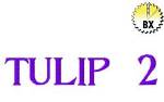 Picture of Tulip2 Embroidery Font