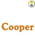 Picture of Cooper Embroidery Font