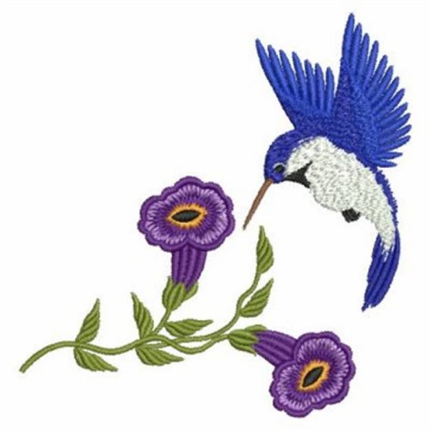 Picture of Hummingbird Border Machine Embroidery Design